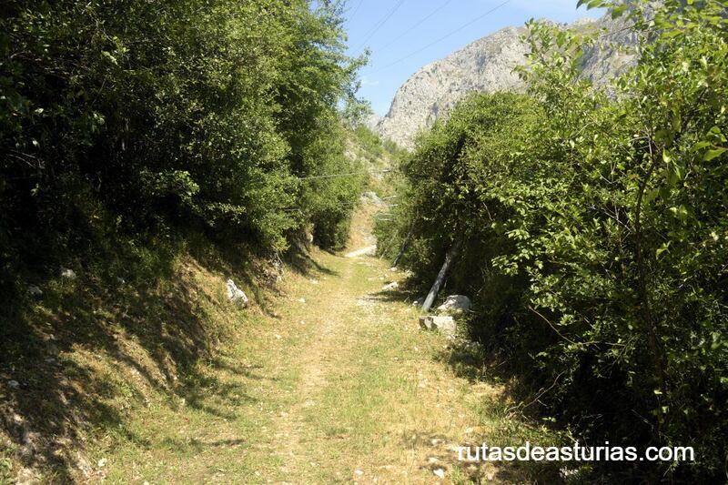 Camino de la senda La Hermida a Urdón