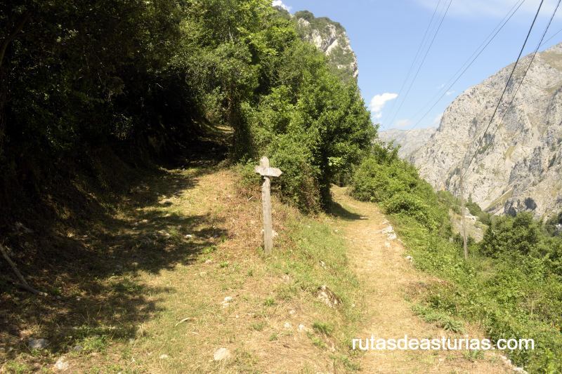 Cruce sendero a Osina o a Urdón
