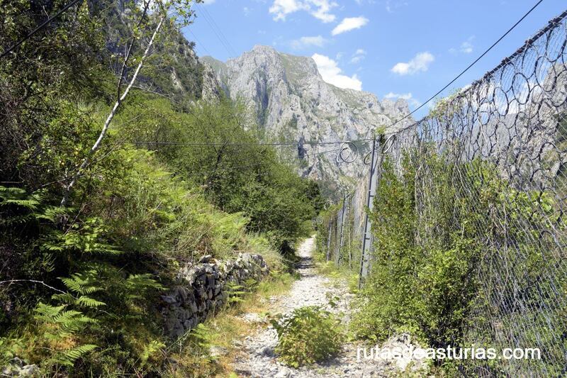 Malla de protección en la senda La Hermida Urdón