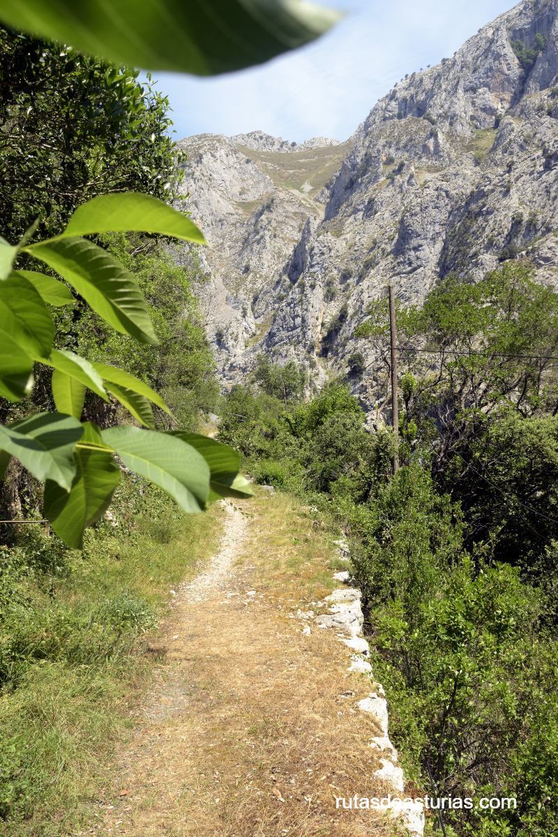 Tramo de sendero armado en la senda La Hermida Urdón