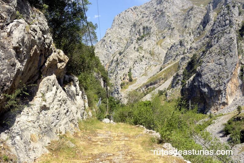 Parte de sendero armado en la senda La Hermida Urdón