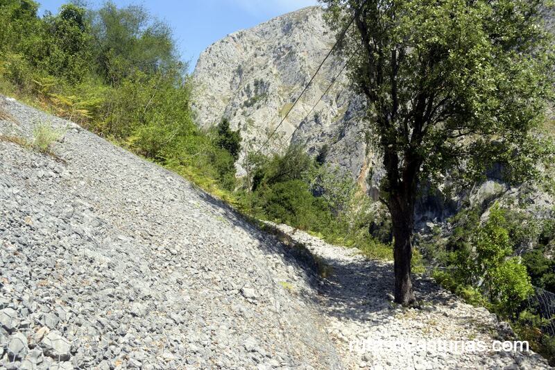 Zona de pedrero en la senda La Hermida Urdón