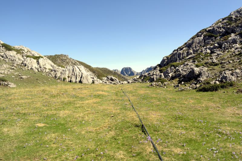 Manguera camino de El Estrecho