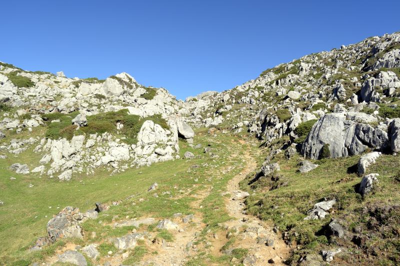 Pista camino de la vega de Retuerto