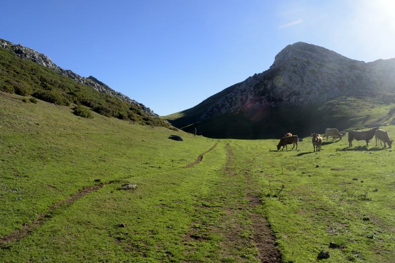 Valle María Delgado, junto a Peña Vera