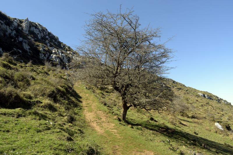 Últimas rampas antes de las capillas del Monsacro