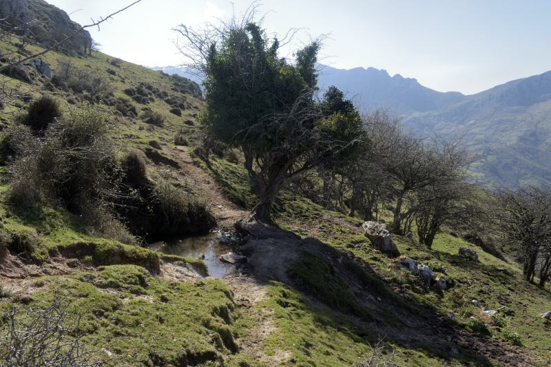 Senda que nos llevará al sendero Les Llampes