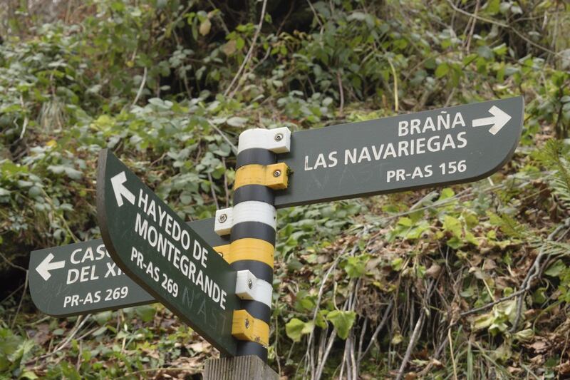 Cartel indicador de direcciones ruta PR AS Ruta hayedo Montegrande y cascada del Xiblu