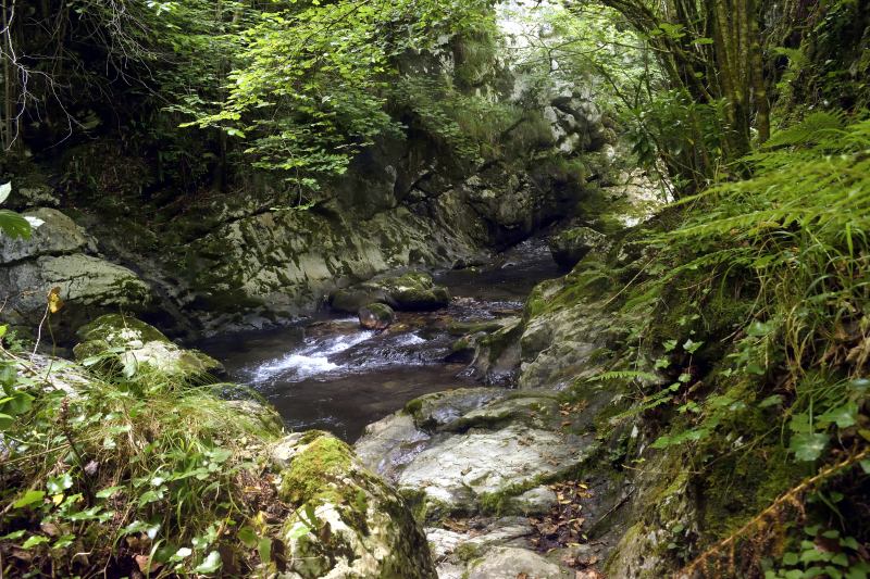 Cauce del río Alba horadado en la piedra